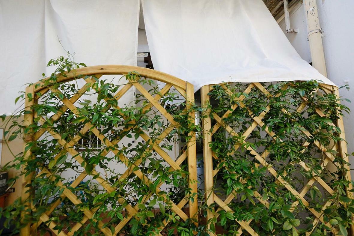 Il Posto Giusto Hotel Pisa Ngoại thất bức ảnh
